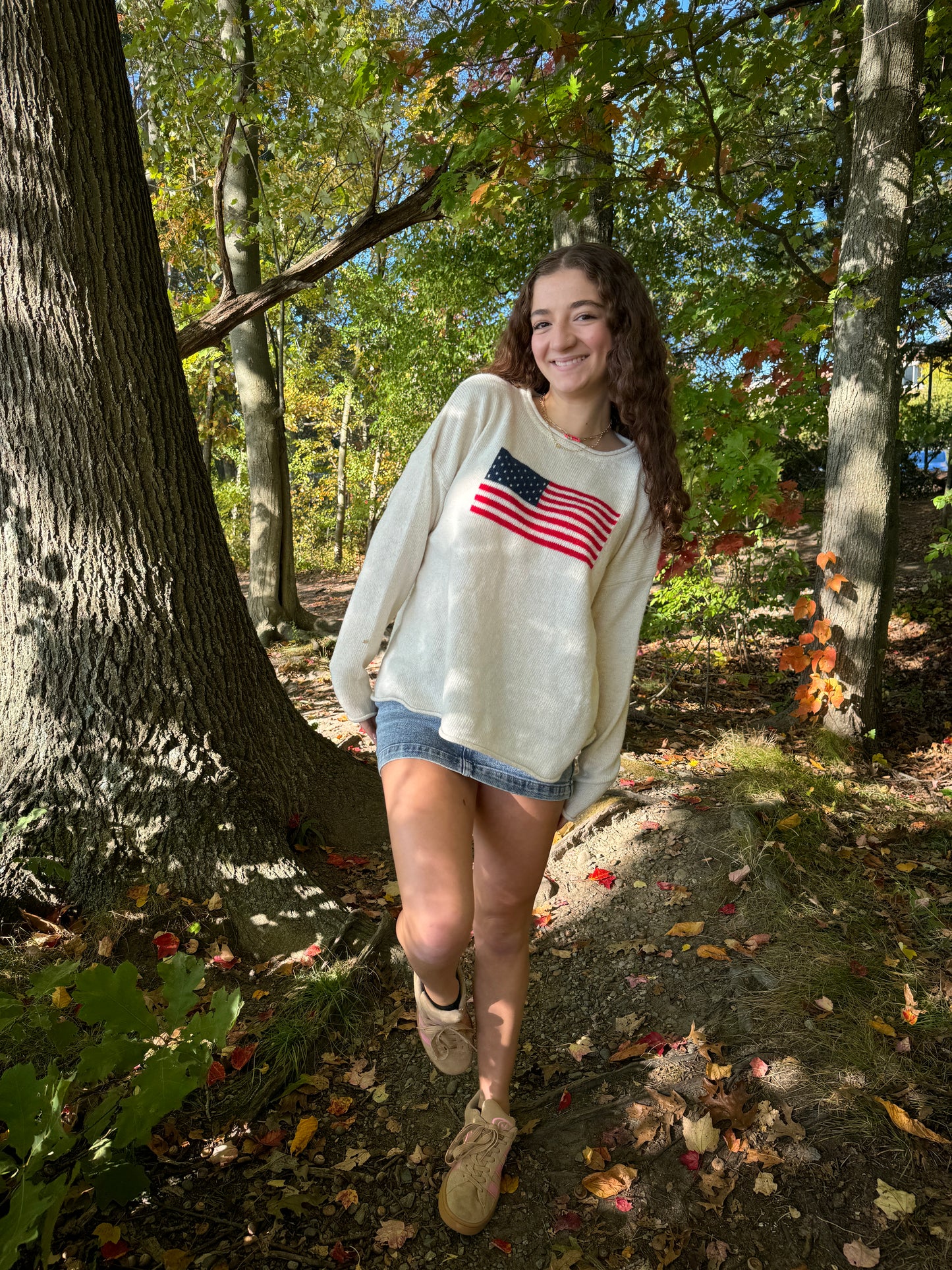 Beige American Flag Sweater